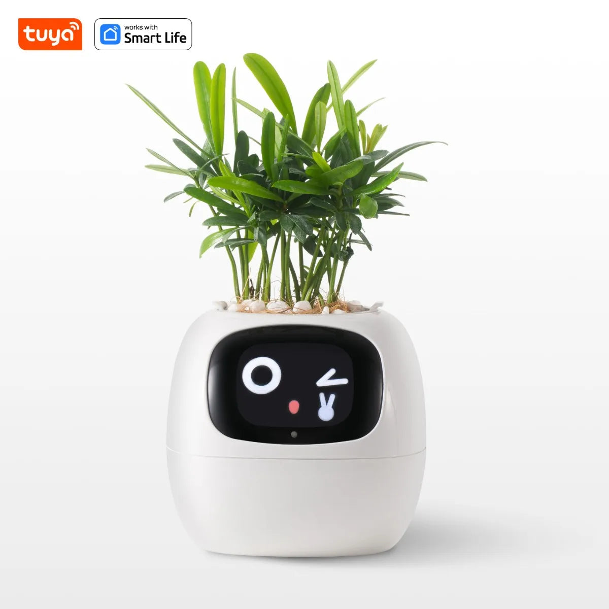 Maceta inteligente Tuya Ivy blanca – diversión ilimitada con sensores y AI