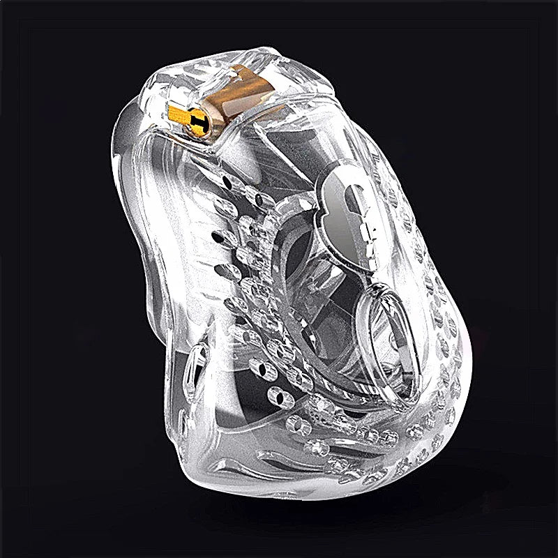 Chastity Lock Male Chastity Device Cage With Penis Lock And Erotic Urethral Companion Sex Toys Cock Cage For Delayed Ejaculation